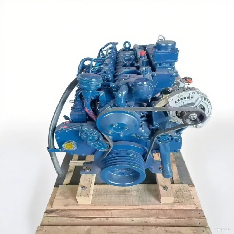 Machinery Engines WeiChai WP6.245E50 For Off Road Driving Vehicle Maintenance And Repair