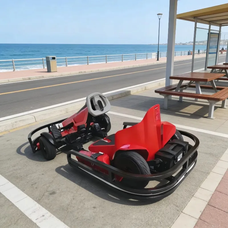 High Sales Amusement Park Electric Go Kart Kids Adult Racing Karting Car for Wholesale