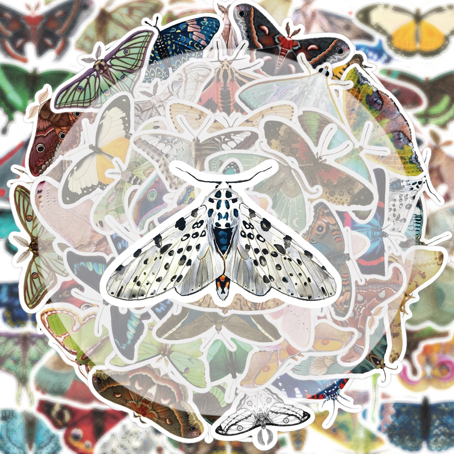 50 Vintage Moth Graffiti Stickers, Suitable for Decorating Water Bottles, Laptops, Cell Phones, Suitcases, Skateboards, Guitars, Gift Boxes, and Party Decorations