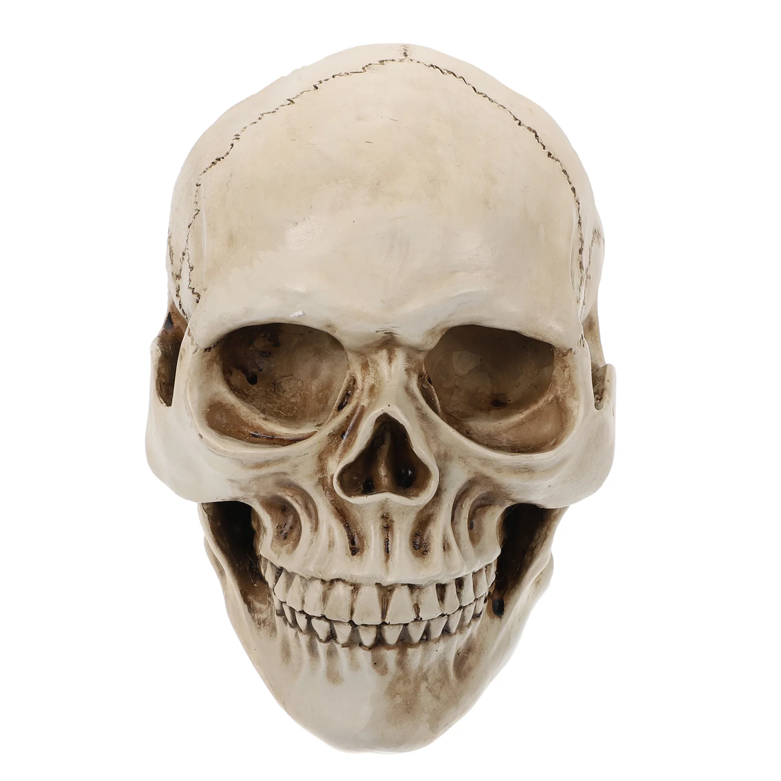 

1Pcs Resin Skull Head Halloween Decoration Home Festival Tabletop Ornament Gift Decor Halloween