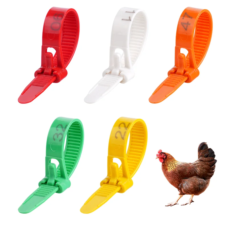 50/100Pcs Chicken Foot Ring Adjustable Cable Tie farm Animals Poultry Breeding Label Turkey Mark Foot Ring Identity Recognition