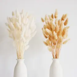 100pcs Bunny Tails Dried Flowers Boho Table Decor,Dry Pampas Grass Bouquet for Wedding,Home,Rustic Party,Baby Shower Decorations