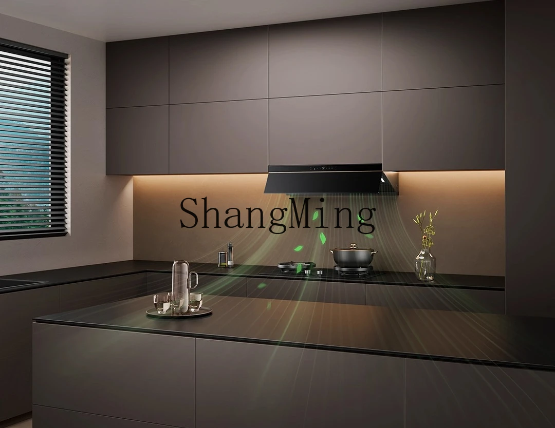 ZYY household steam washing range hood AK9pro household kitchen upgrade