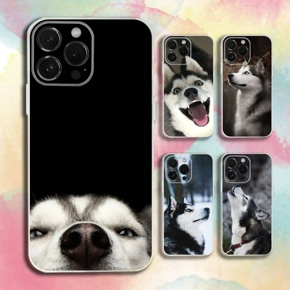 

Husky Puppy Dog Phone Case For iPhone 16,15,14,13,12,11 Plus,Pro,Max,XR,XS,Plus,E,SE4,Mini Transparent Cover