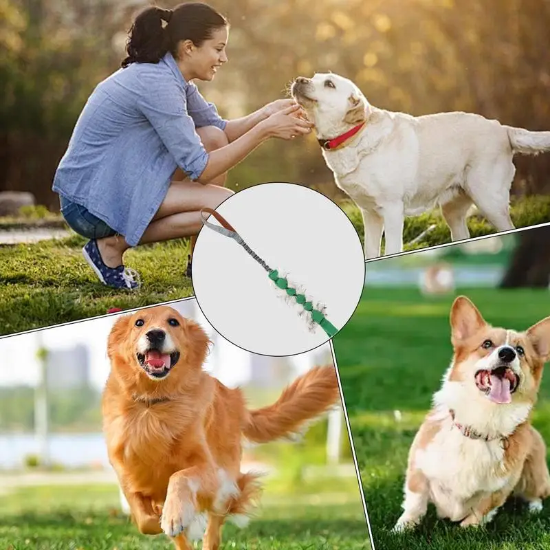 Dog Tug Toy Interactive Dog Chew Rope Squeaky Dog Teething Toy Pet Supplies Puppy Rope Toy With Elastic Drawstring Interactive