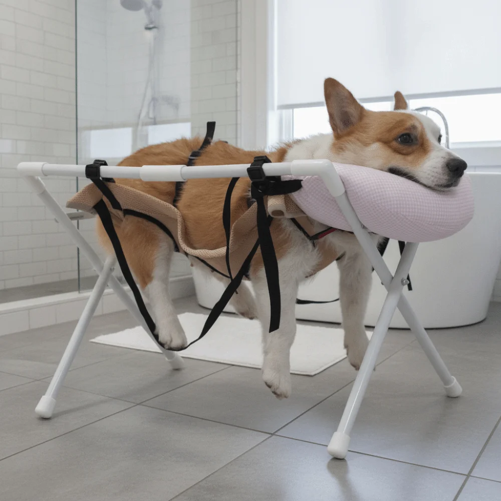 Folding Cat Bathing Rack Quick-Dry Mesh Breathable Pet Washing Station Stable Structure Anti-Bite Pet Grooming Hammock