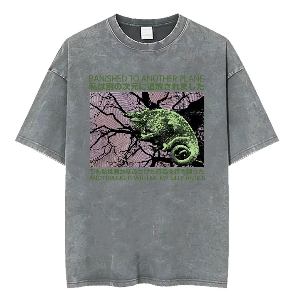Banished To Another Plane Chameleon Vintage Japanese T-shirts Men Women Anime Style Washed T Shirt Summer Tops Oversized T-shirt