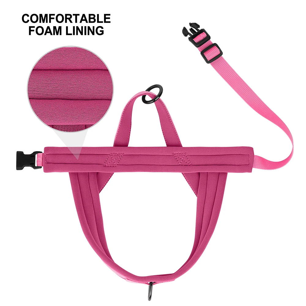 Thumbnail 4 - #87 Best Puppy Harnesses to Buy In 2026