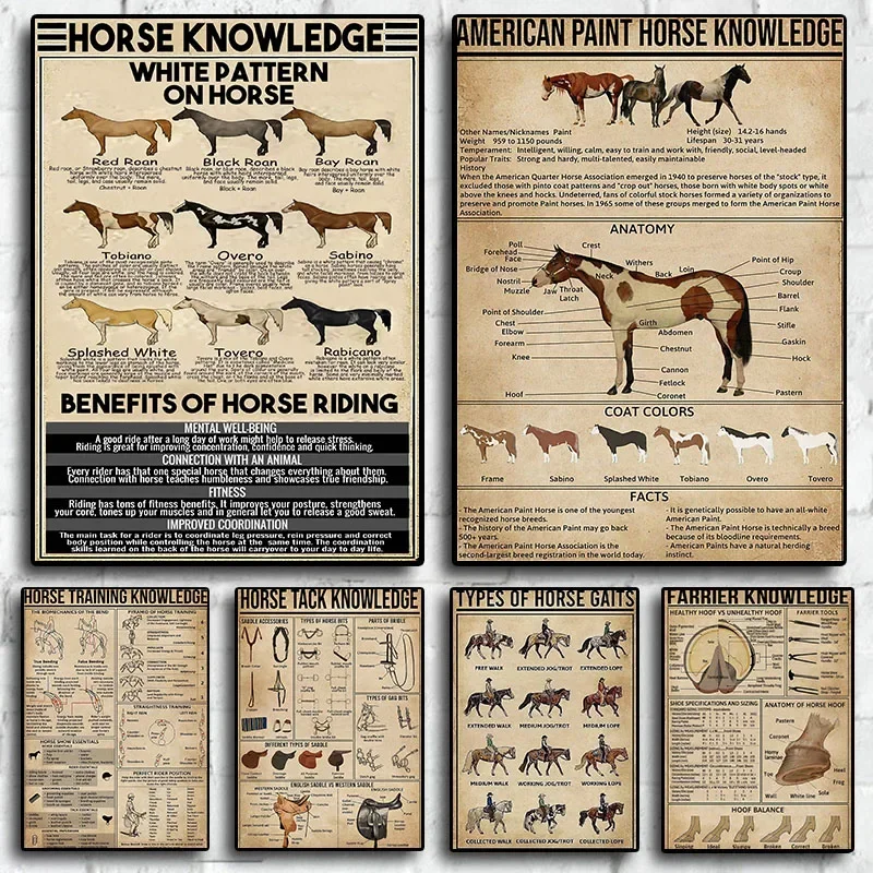 Affiches sur les types de mouvements de chevaux, affiches rétro pour club et café, art mural sur toile, décoration intérieure pour salon, cadeau