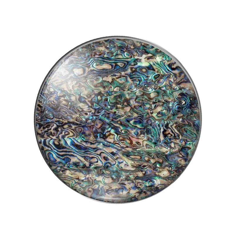 New Seashell abalone paua 10pcs 12mm/14mm/16mm/18mm20mm//25mm Round photo glass cabochon demo flat back Making findings