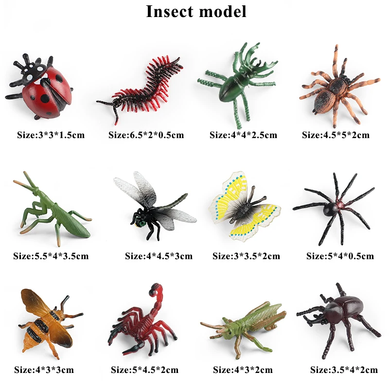 Oenux Insekt Tiere Modell Set Schmetterling Libelle Biene Käfer Spinne Skorpion Mantis Zikade Eidechse Garten Miniatur Kind Spielzeug Geschenk – Detail 11