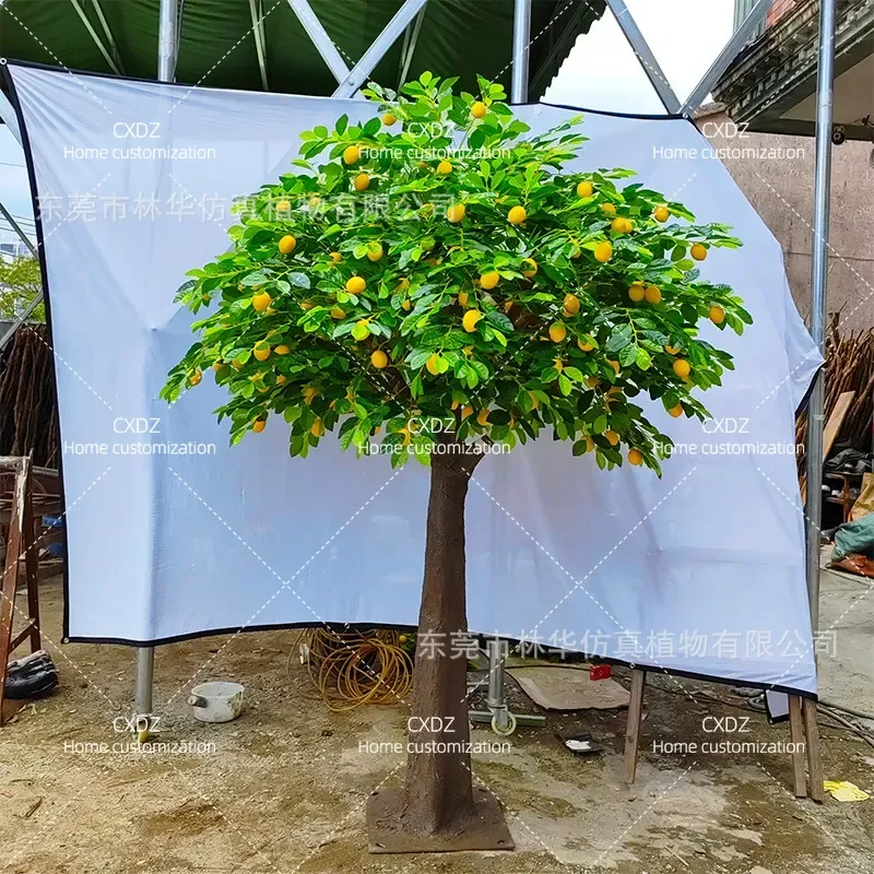 Simulation lemon tree landscape simulation tree large floor fake tree home soft decoration window ornament photography props