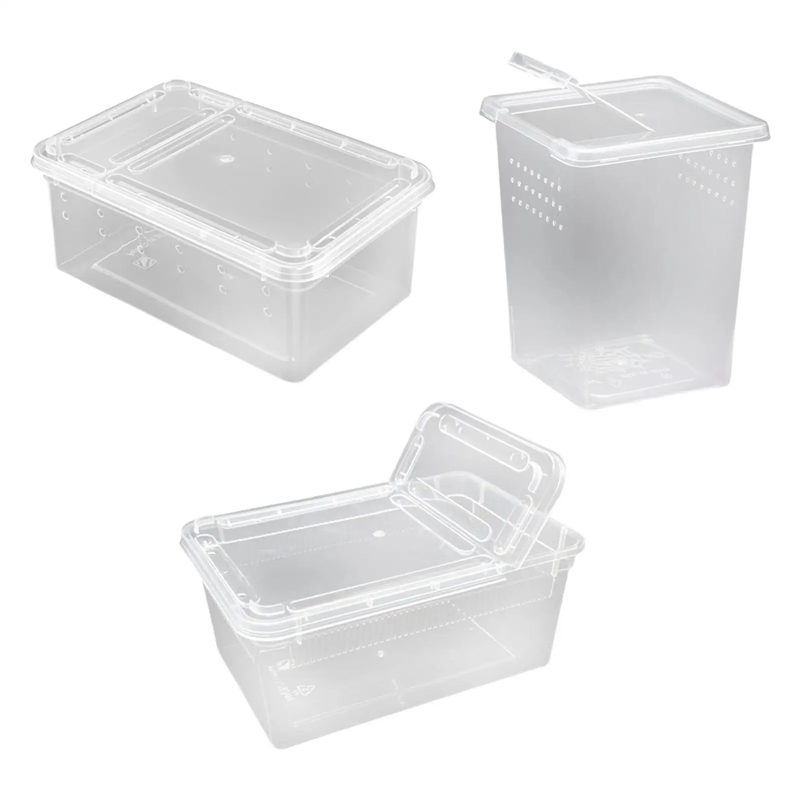 Reptile Feeding Box with Vent Holes Terrarium for Frog Tarantula Lizards