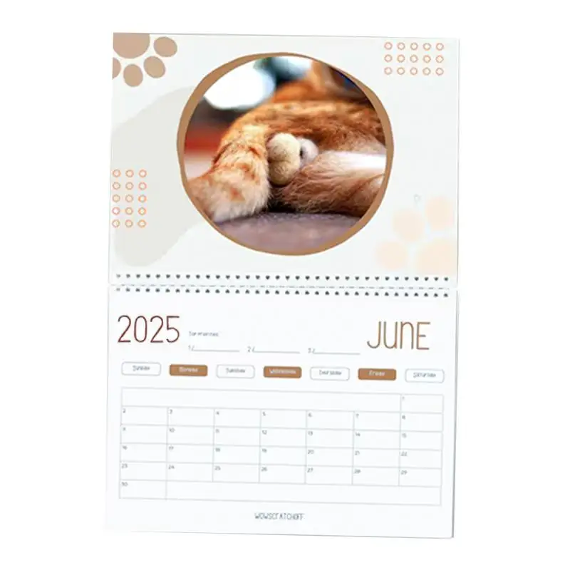 Funny Cats Wall Calendar 2025 Special Cat Butthole Gag Calendar Sturdy Pranks Wall Art Decor For Organizing & Planning Holiday