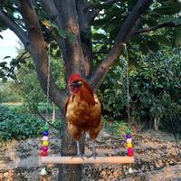 Chicken Swing Toy,Natural Wooden Chicken Perch for Hens Parrot Macaw Bird,Chicken Free Standing Swing -Chicken Coop Accessories