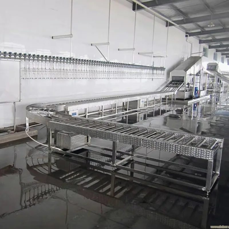 Commercial Chicken Processing Line Automatic Slaughtering Feather Removal Evisceration Custom