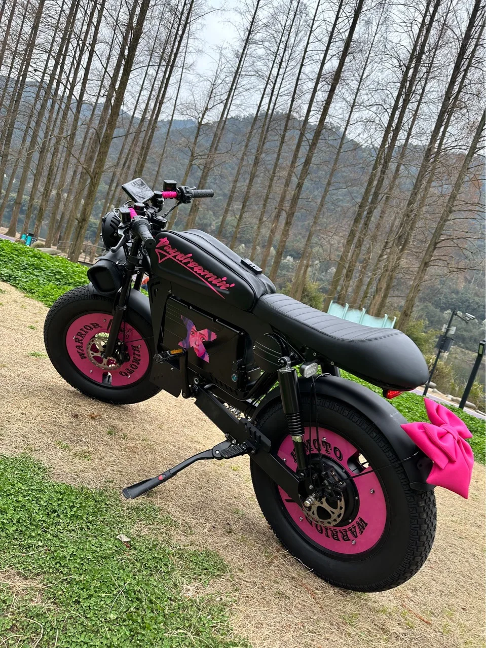 20 Inch 1500W48V SUPER73 Super Fast Off-road Electric Bicycle Modified Motorcycle Max Speed 70KM/H WYLA