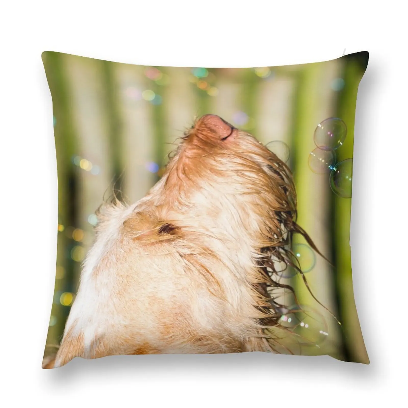 Where do thoughts come from Spinone Throw Pillow Pillow Decor Couch Pillows autumn decoration pillow