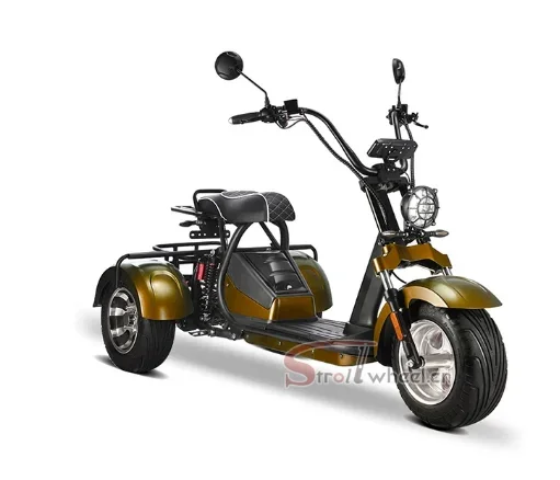 Electric motorcycle make up order price difference