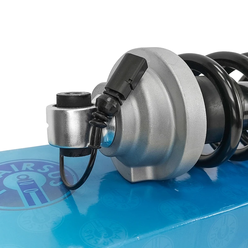 Tech Master Auto Parts Air Ride Front Suspension Front Left Air Absorber for Audi R8 4S 4S0412019