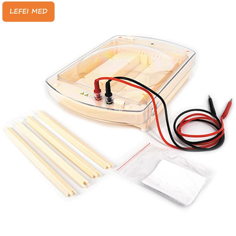 

LF1838 electrophoresis system electrophoresis chamber electrophoresis cell