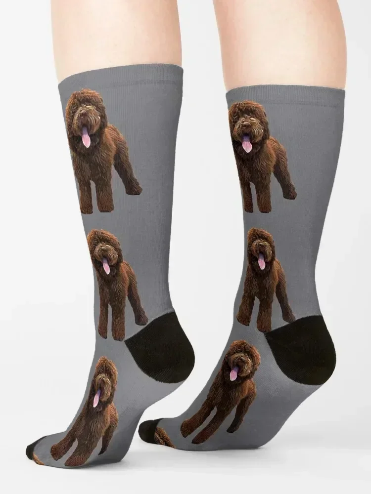 Labradoodle Chocolate Brown Socks cartoon cool funny gift heated Woman Socks Men's