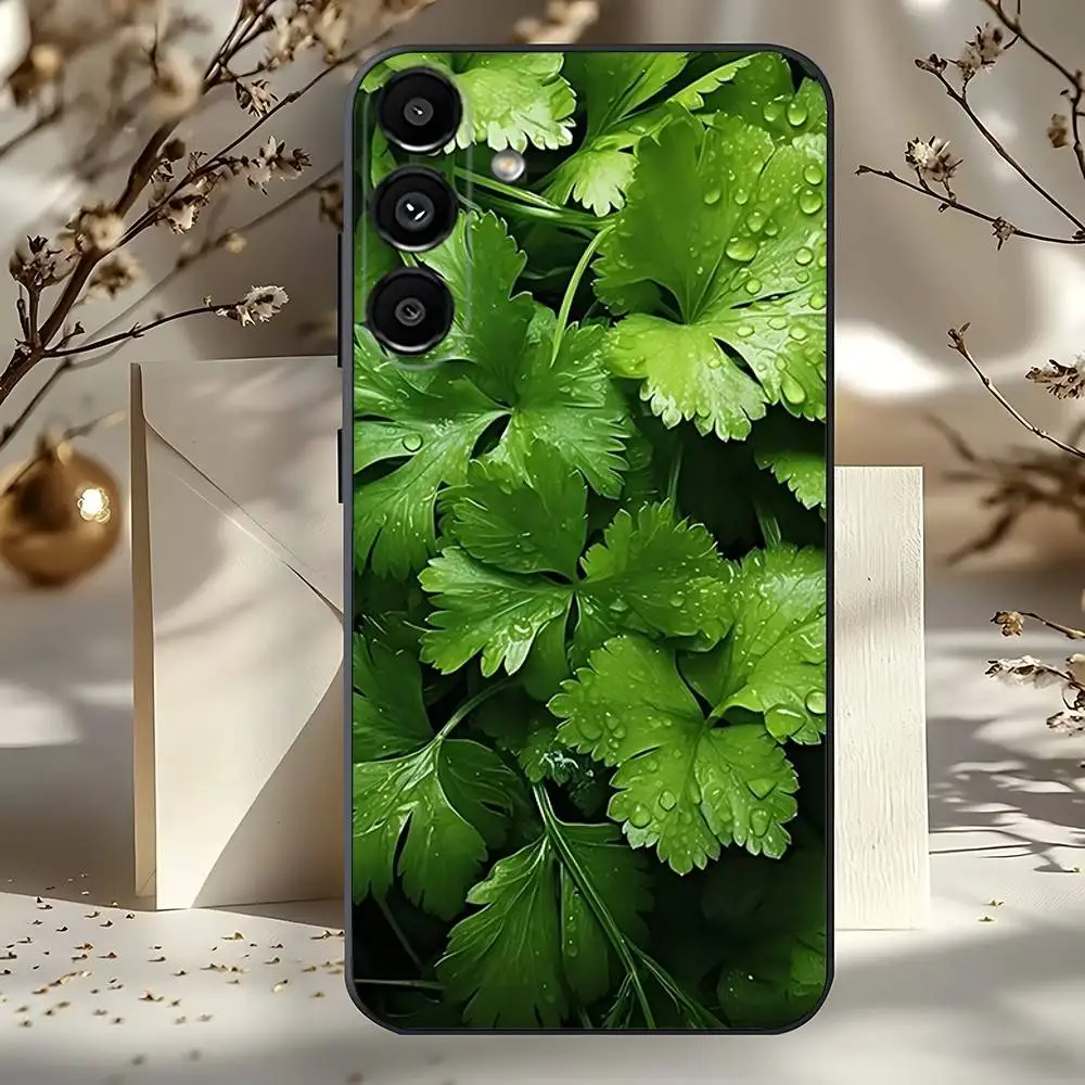 Мягкий черный чехол для телефона Green Vegetables Ins для Samsung Galaxy A73,31,32,72,41,53,52,71,22,5G, Note,J7,8,9