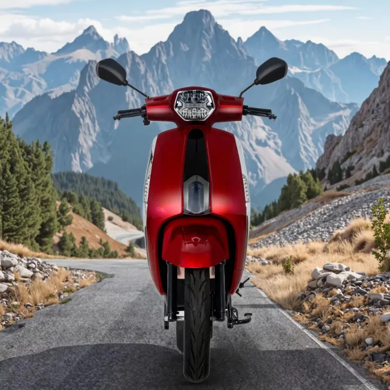 RRPersonal Urban Travel Electric Scooter Adults 1000W 10Inch Moto Electrica For Daily Riding Performance