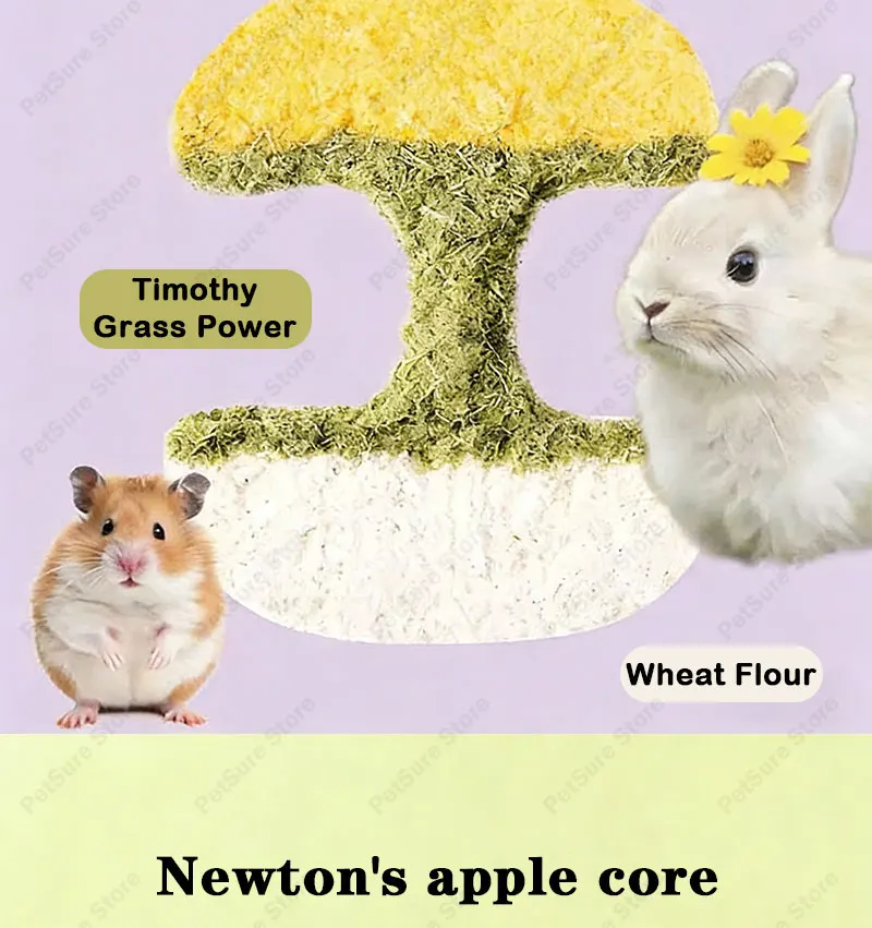 Hamster Chew Toys for Teeth & Natural Timothy Grass Bunny Treats Sf0971f3578ad435e8518d7630ba0fd61O