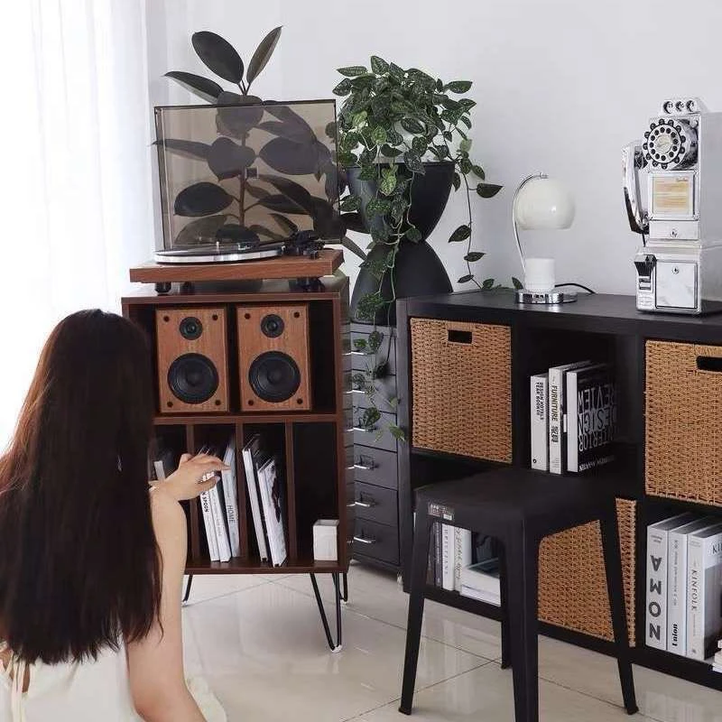 ‌Mid Century Media Storage Organizer - Solid Wood Vinyl Record Cabinet, Audiophile Shelf for Turntable Bookshelf Sofa Side Table