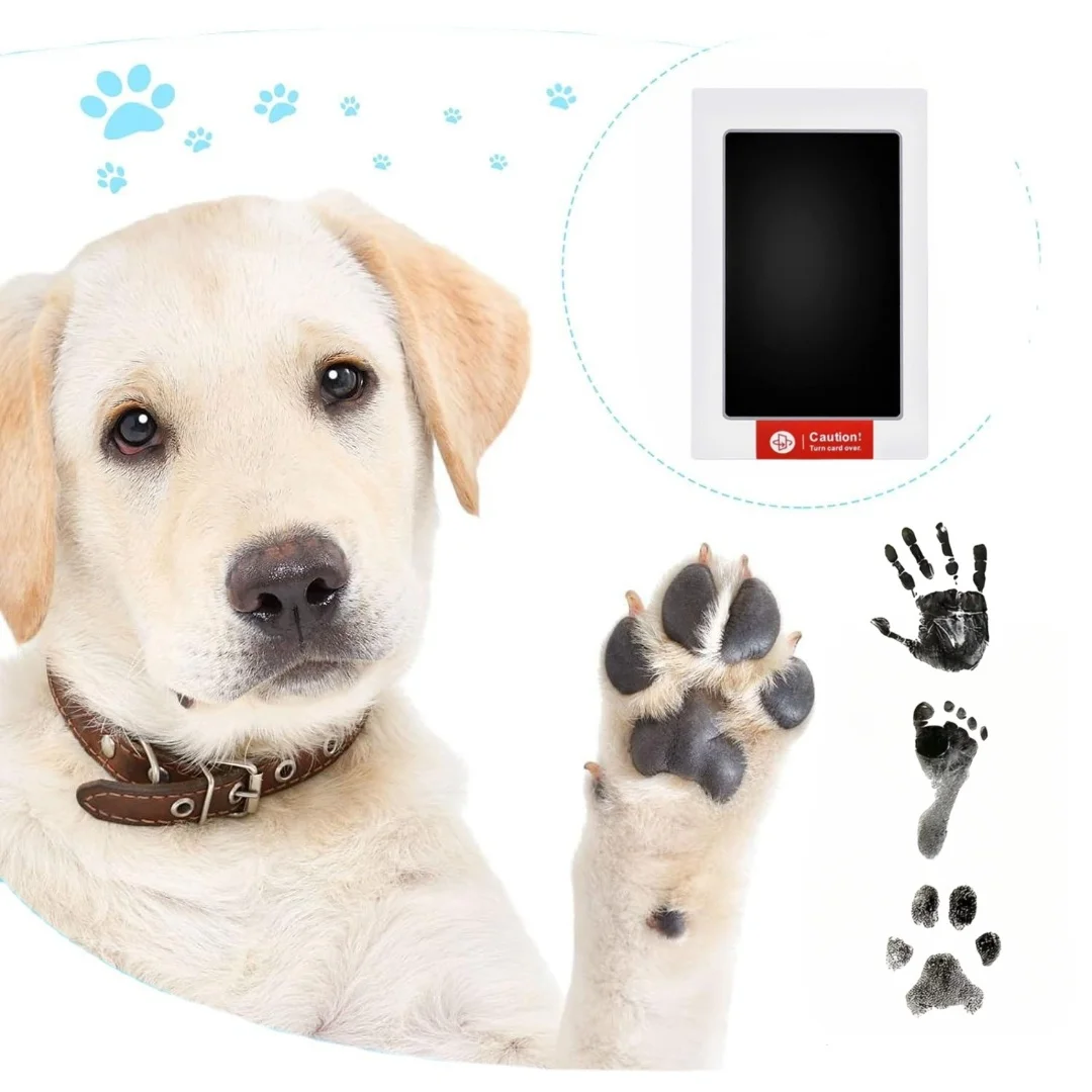 ペットの足のプリントキット,インクパッド1枚とインプリントカード2枚,無毒の安全なプリント,赤ちゃんの足跡