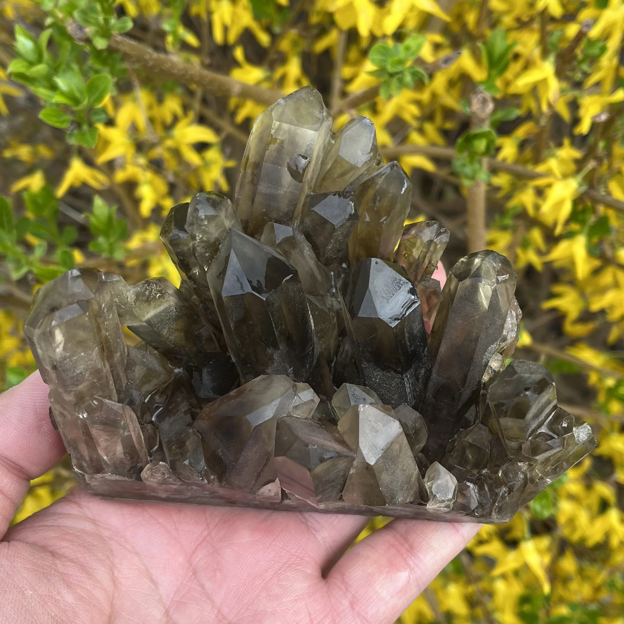 

Natural citrine cluster mineral specimen energy gem gift room office decoration collection feng shui ornaments