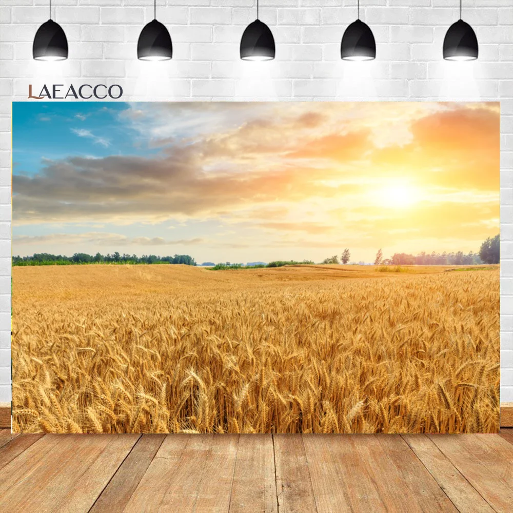 

Laeacco Wheat Field Backdrop Autumn Farm Golden Field Sky White Clouds Harvest Nature Kids Adult Portrait Photography Background