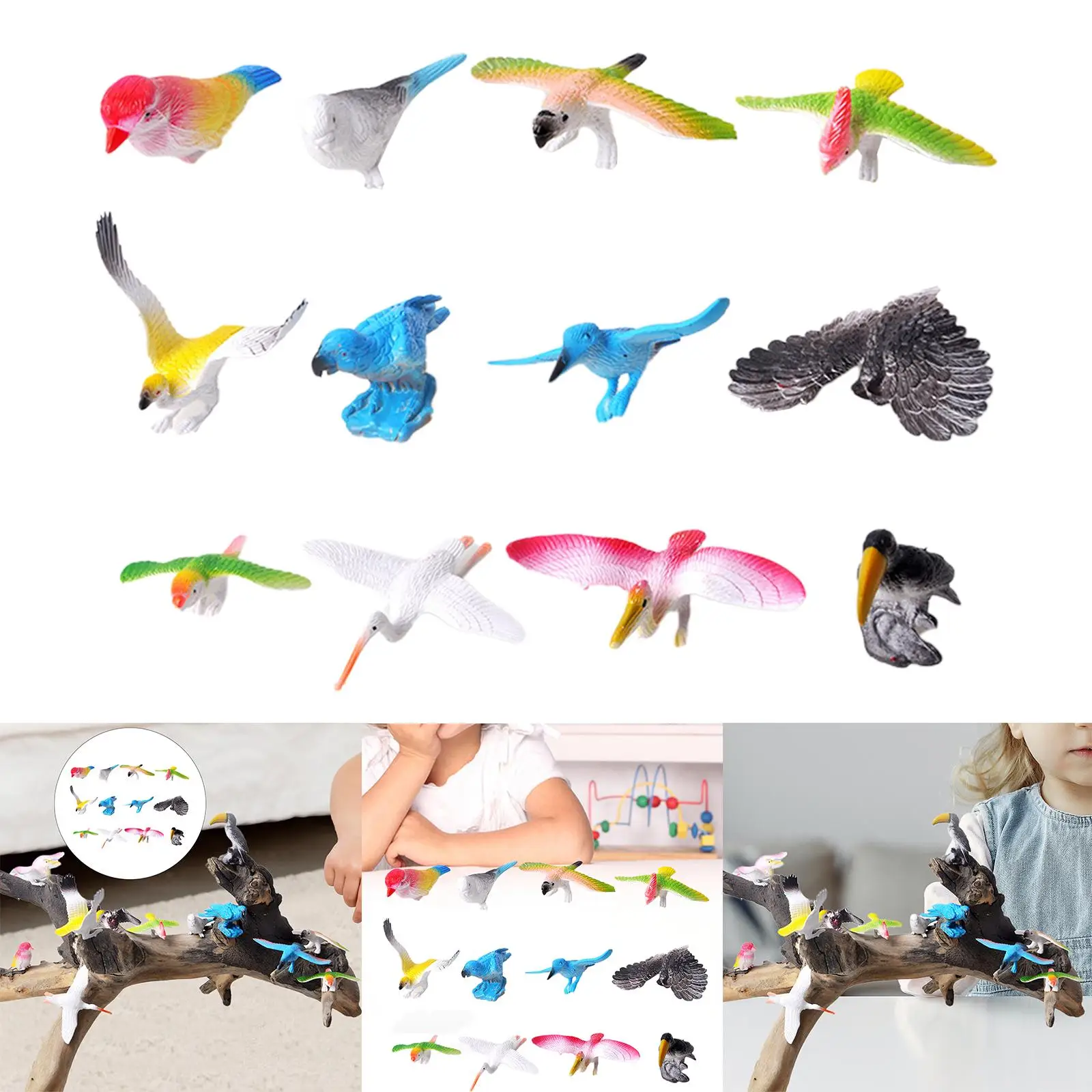 Figurines d'oiseau réalistes, jouet d'apprentissage, cadeau de fête, 12 pièces