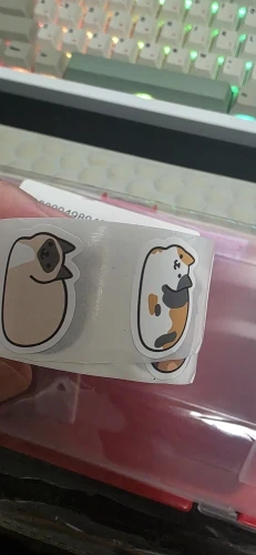 리뷰 사진