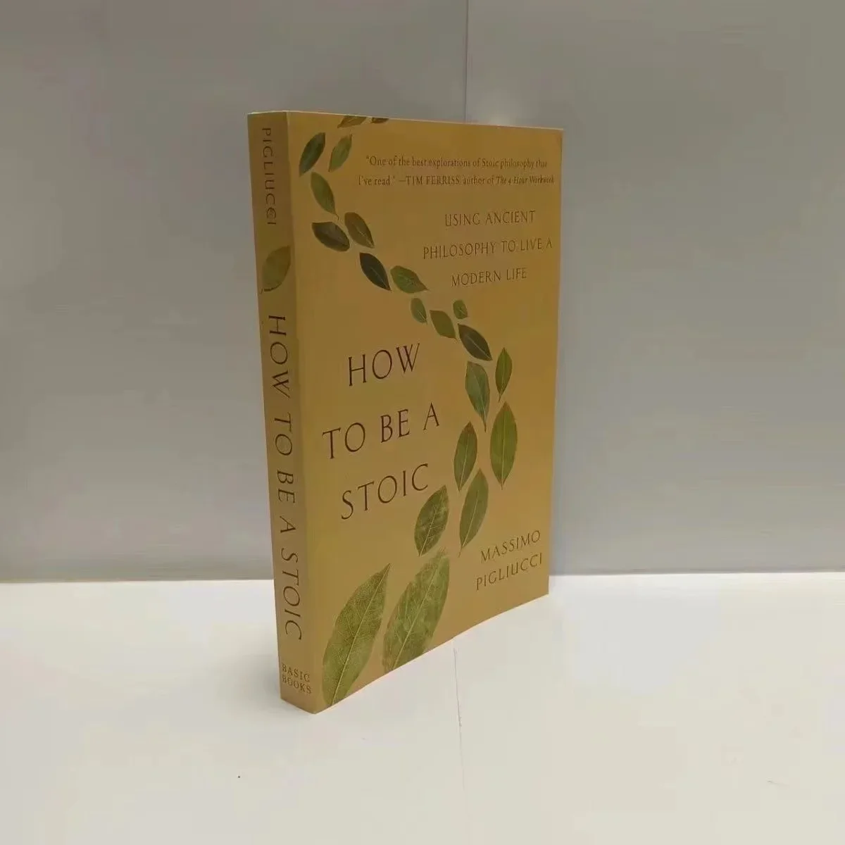 วิธีเป็นหนังสือปกอ่อน Stoic ในหนังสือภาษาอังกฤษ