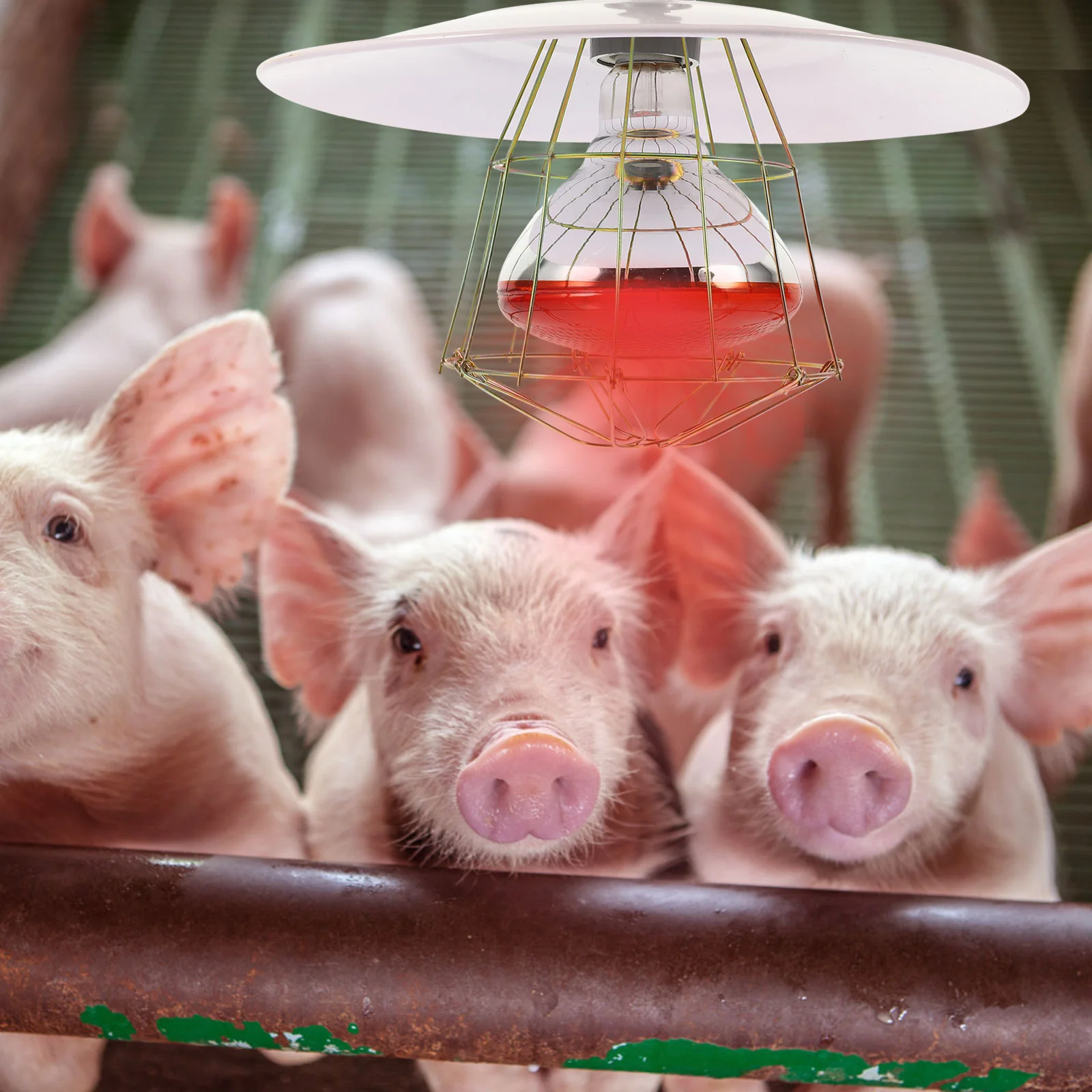 

Lamp Whelping Heat Set Livestock Cage Heating Supply Baby Pet Brooder Dog House Outdoor