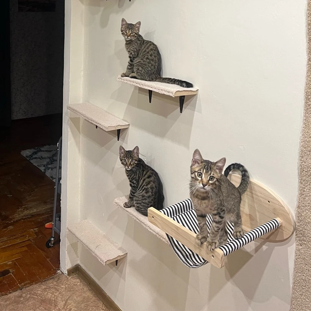 

Cat Hammock Wall Mounted Wooden Scratcher Cat Climbing Shelves Kitty Beds Perches Stable Cats Wall Shelves For Sleeping Playing