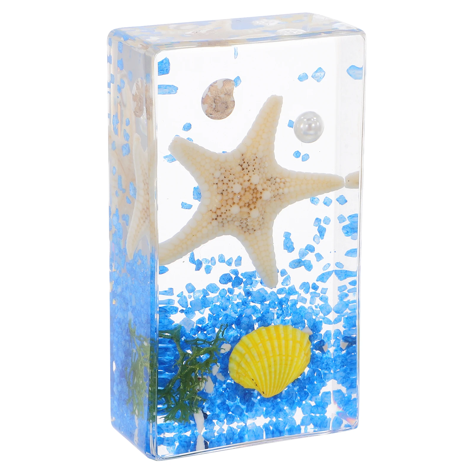 

Resin Sea Star Specimen Paperweight Educational Ocean Life Display for Classroom Teaching Kids Science Learning Decor Collection