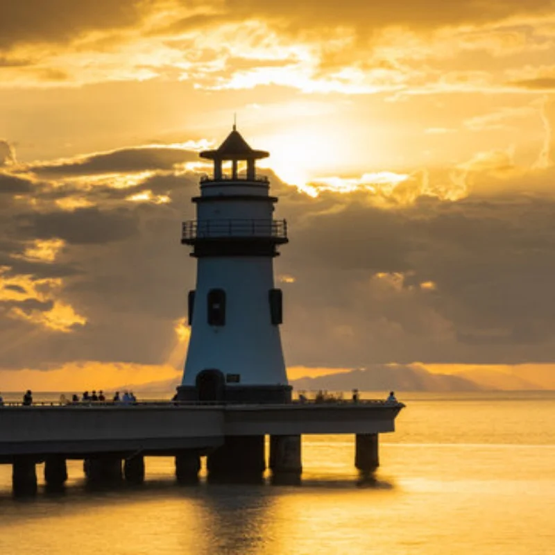 โมเดลจำลองการแข่งม้าในฟาร์ม นักขี่ม้า ตุ๊กตาสัตว์ ฟิกเกอร์ PVC ของเล่นสะสม ของขวัญ ของเล่นเสริมพัฒนาการ