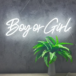 Boy or Girl Neon Sign for Gender Reveal Baby Birthday Party Decor 76cm Transparent Acrylic Indoor Art Decor Light