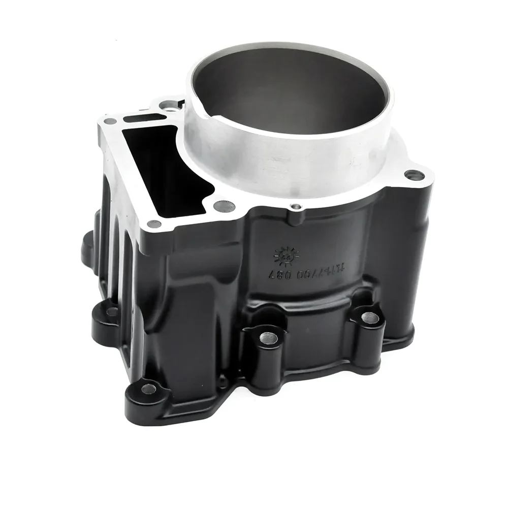 Motor Parts Cylinder Overhaul Rebuild Top End Kit For BMW F650CS G650GS G650X F650 F650GS 1111700201