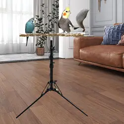 Parrot Perch Toy Bird Training Perch Stand Height Adjustable for Cockatiels Lovebirds Finches Accessories