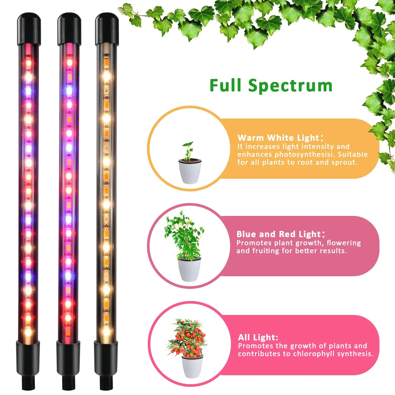 Small Grow Light for Indoor Plants, Red Blue Spectrum with Timer Gooseneck Sunlight Lamp 80cm for Succulents Plants