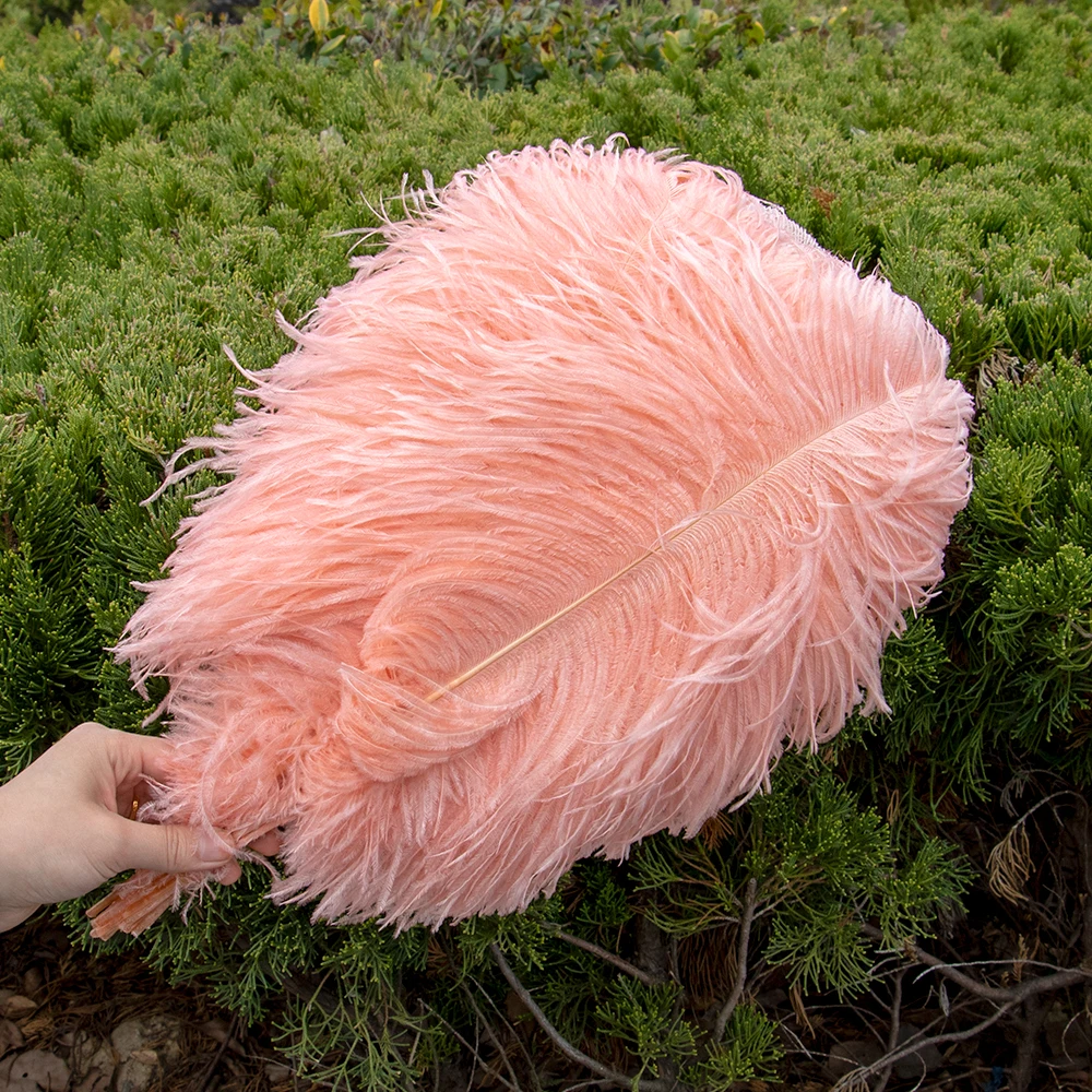 10Pcs Natural Fluffy Ostrich Feathers for Wedding Party Decoration 15-60CM DIY Table Centerpiece Crafts Carnival Plumas Decor