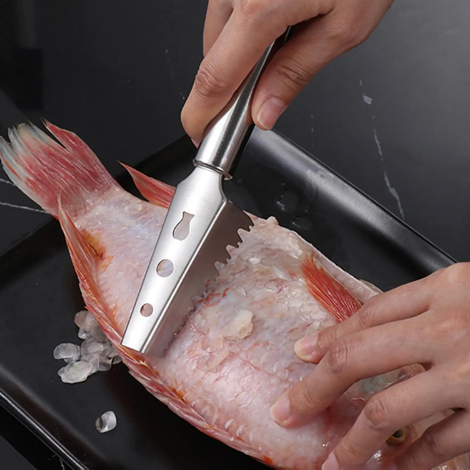 Stainless Steel Fish Descaler Fish Scale and Skin Cleaner Fish Scale Remover Kitchen Cooking For Camping Trips Restaurant