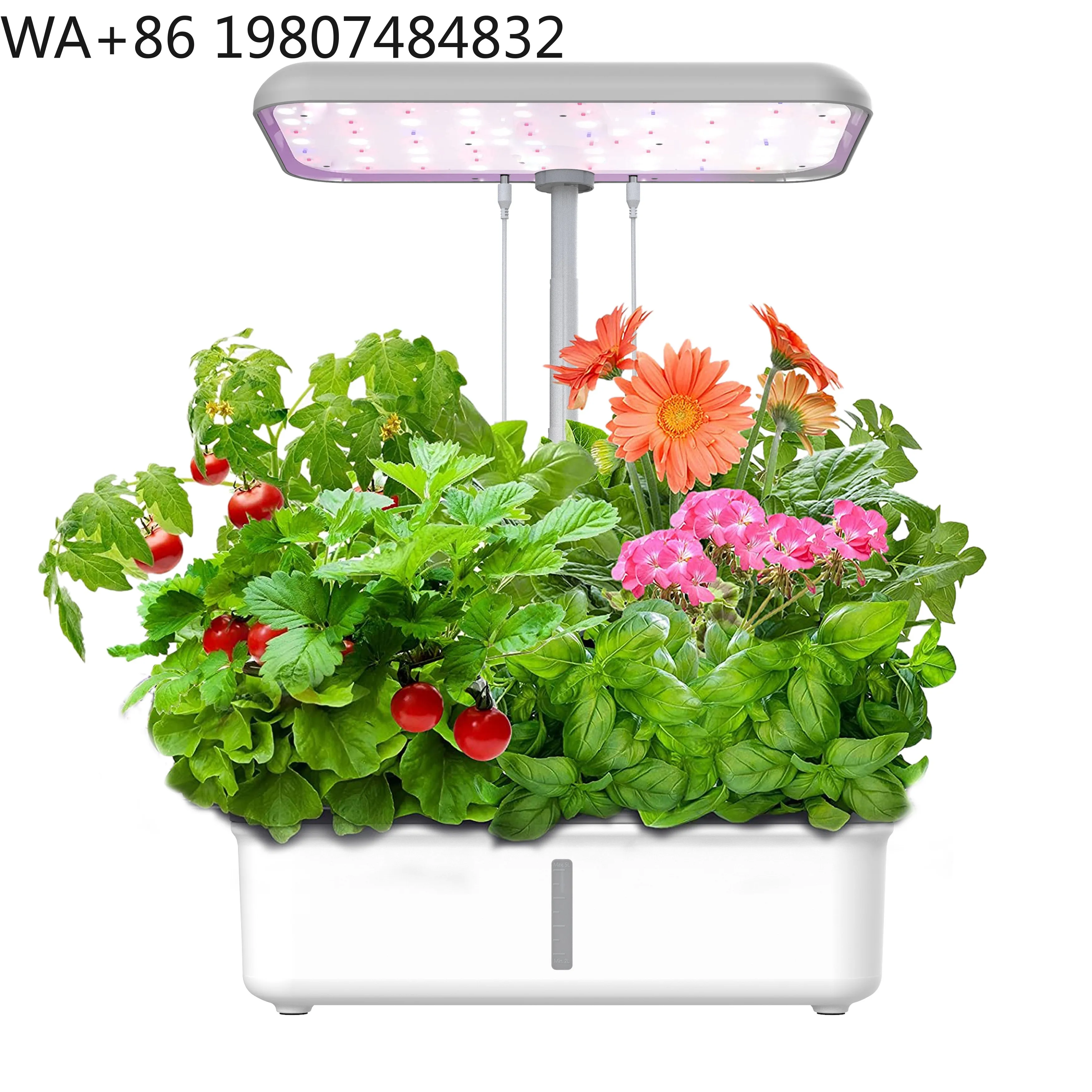 Wifi Connected Soilless Cultivation Container Full Spectrum LED Fill Light Automatic Self Watering  Indoor Balcony Herb