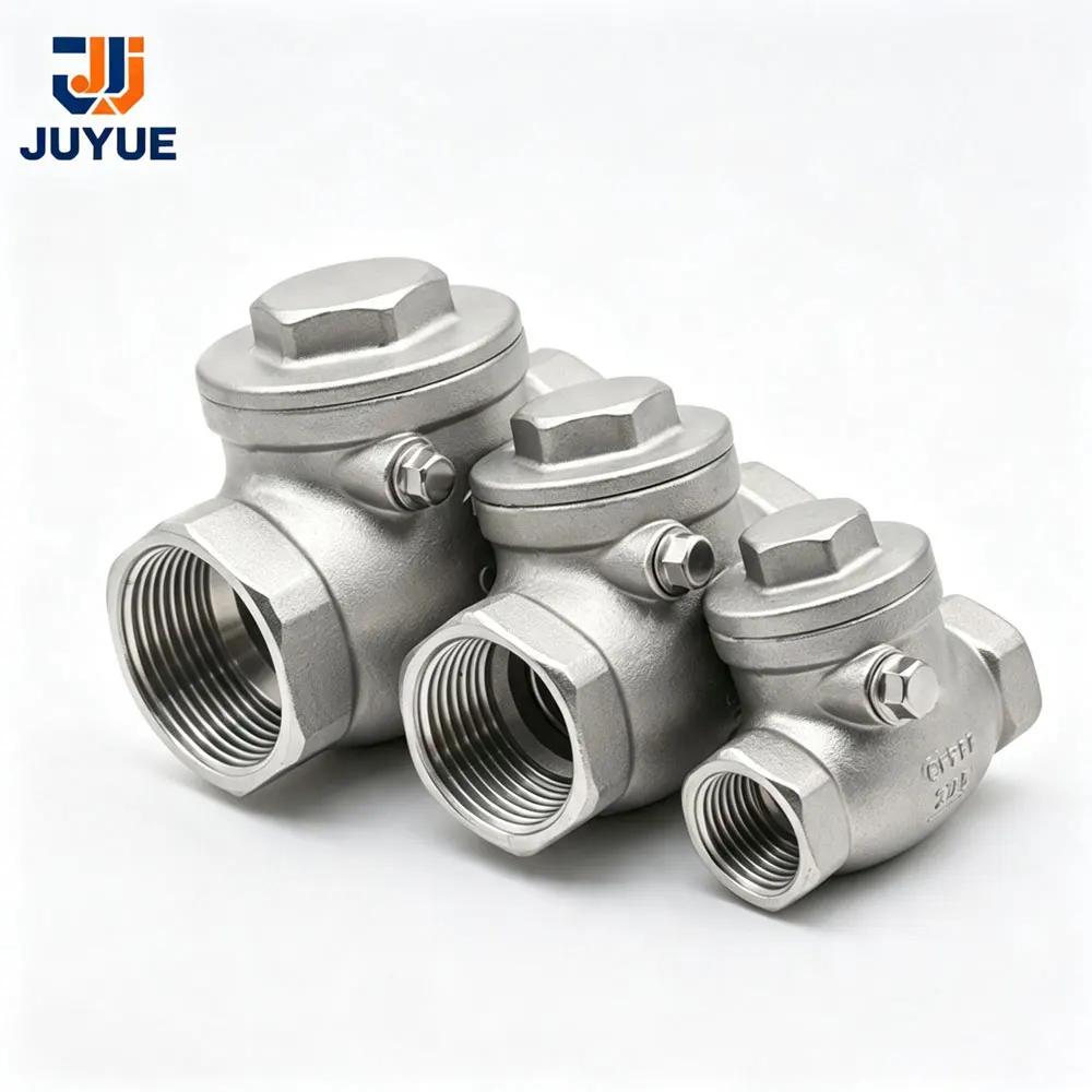 SS304  SS316 Stainless Steel Swing Check Valve Female Thread One Way Non Return Valve BSPT 1/4