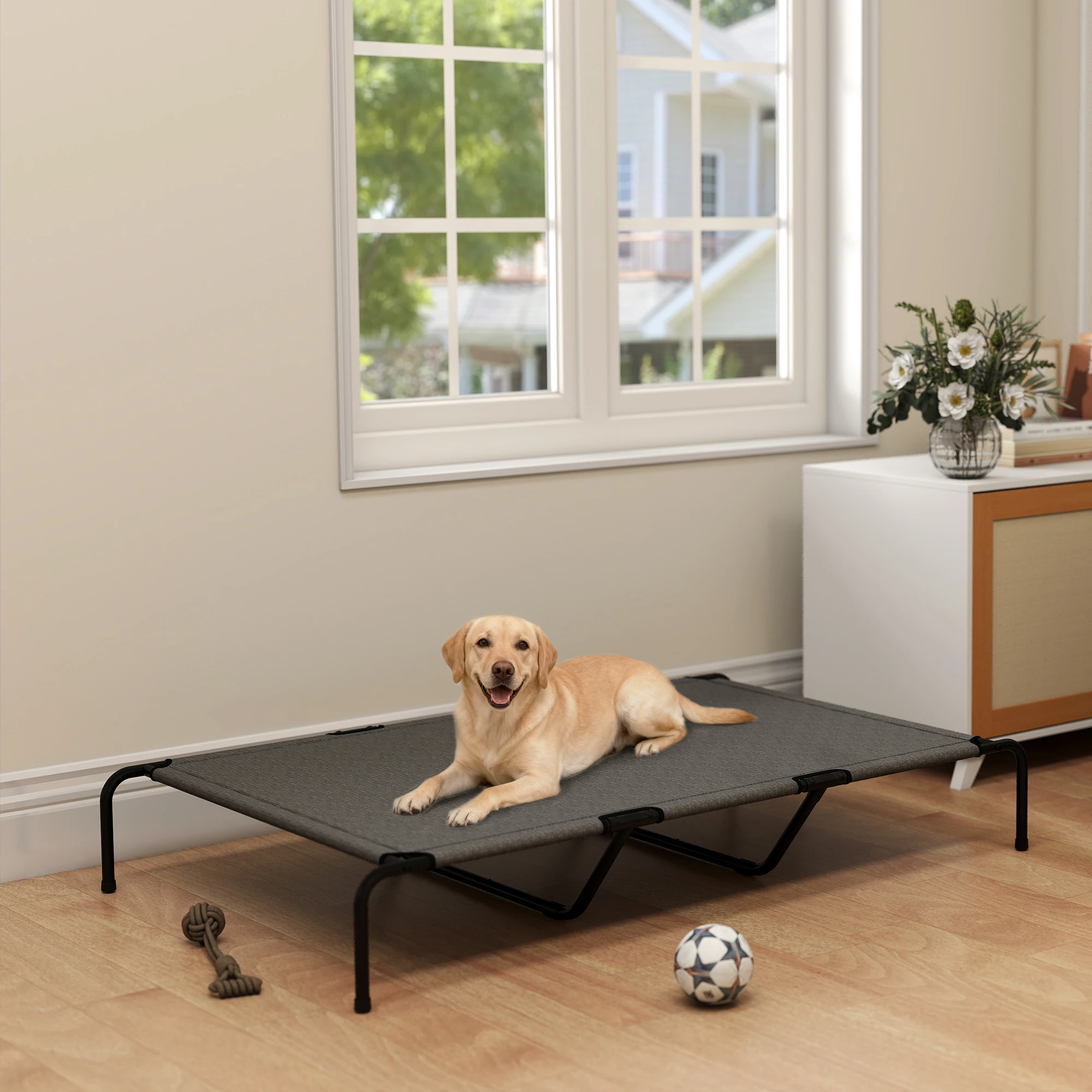 

Elevated Dog Bed for Large Breeds Gray 60"L
