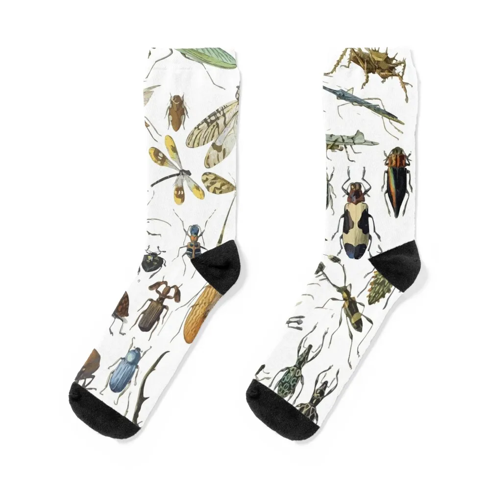 

Adolphe Millot Insects Spider Socks cartoon winter Climbing Men's Mens Socks Women's